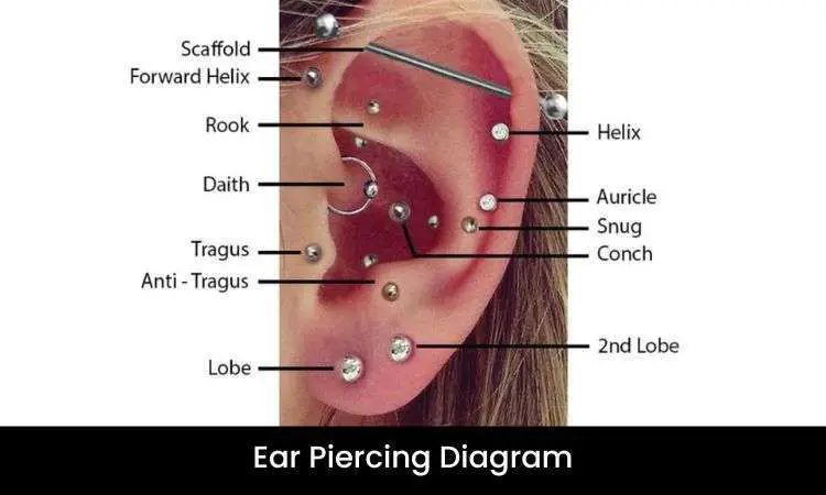 Ear Piercing Diagram