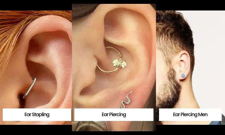 Types of piercings with pictures
