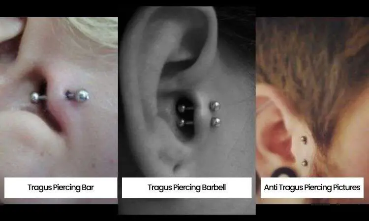 Different Tragus Piercing Images