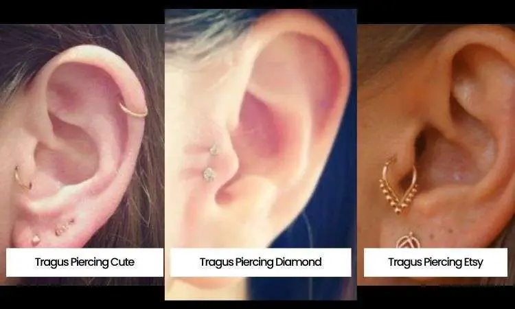 Different Tragus Piercing Pictures