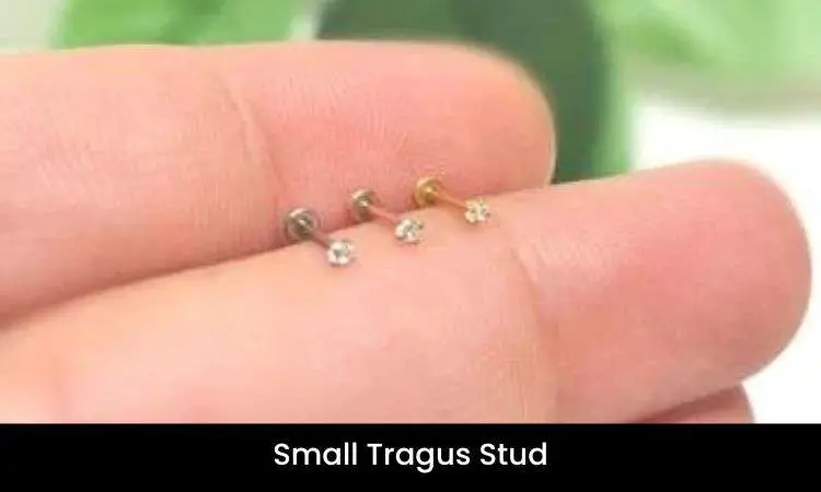 Small Tragus Stud