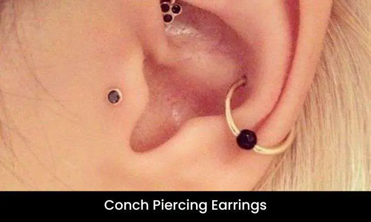 Conch Piercing Earrings