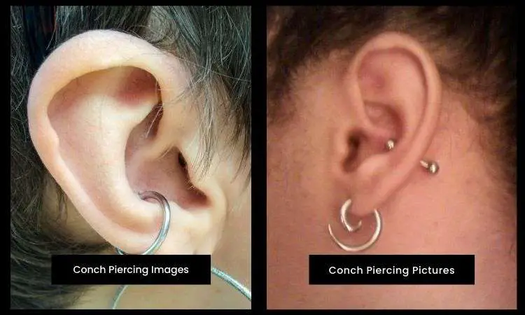 Conch Piercing Ideas