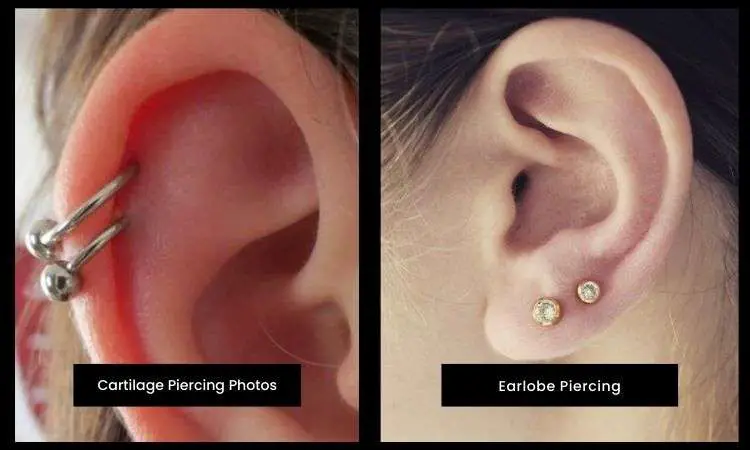 Different types Cartilage Piercing Photos