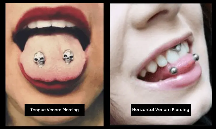 Different Venom Piercing Pictures