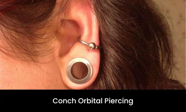 Conch Orbital Piercing