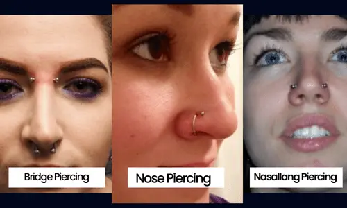 Different Piercings Pictures