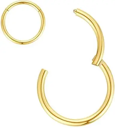ORANGELOVE Hypoallergenic Nose Rings 20G 18G 16G 14G 12G 10G 8G 316l Surgical Steel Septum Jewelry Hinged Segment Ring Body Piercing Nose Hoop Lip Rings Nose Helix Cartilage Rook Earrings