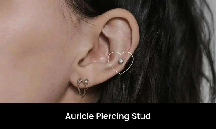 Auricle Piercing Stud