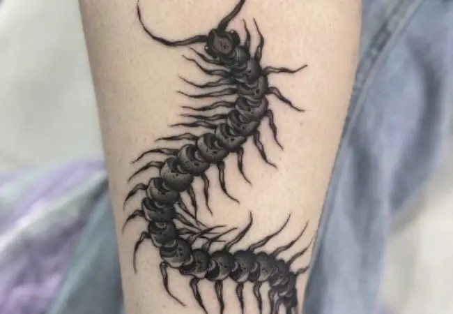 Picture of a Centipede Tattoo on Leg