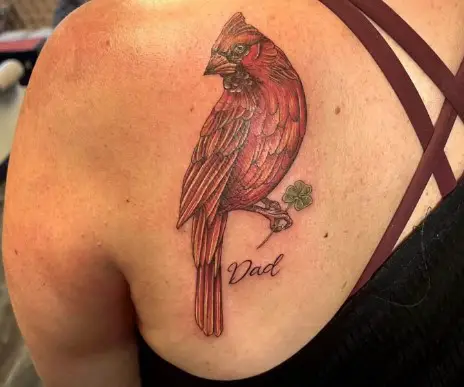 Cardinal Tattoo on the back