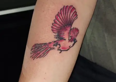 Cardinal with magnificent wings tattoo meaning